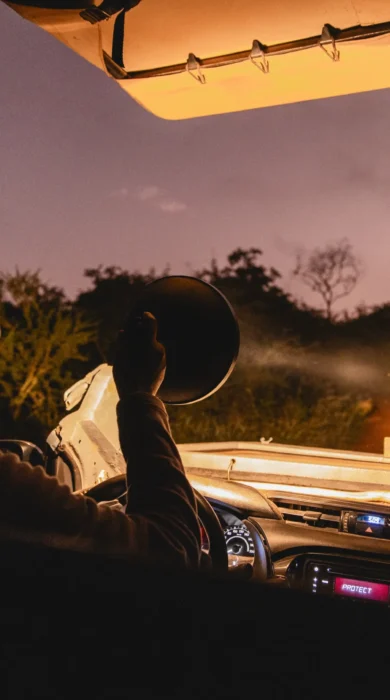 Night Drive, Magashi, Akagera National Park, Rwanda