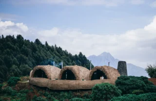 Exterior of the woven accommodation at Bisate Reserve, Volcanoes National Park, Rwanda - Yellow Zebra Safaris