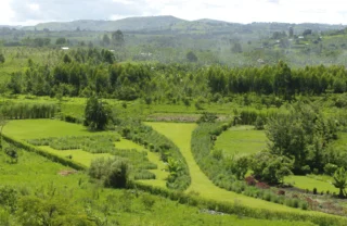 view of kibale national park, uganda safari holidays