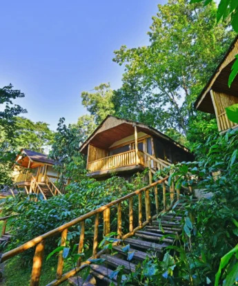 Guest rooms, Buhoma Lodge, Bwindi, Uganda
