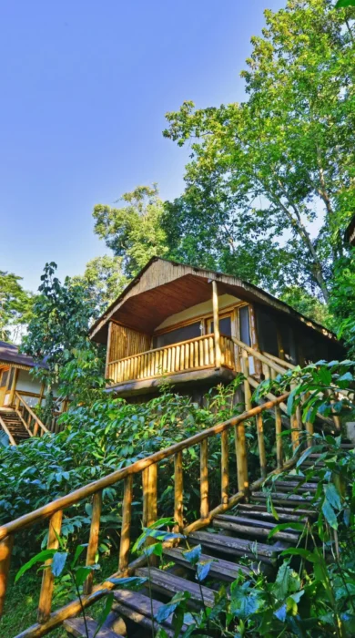 Guest rooms, Buhoma Lodge, Bwindi, Uganda