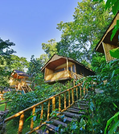 Guest rooms, Buhoma Lodge, Bwindi, Uganda
