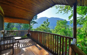Guest view, Buhoma Lodge, Bwindi, Uganda