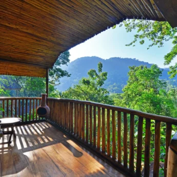 Guest view, Buhoma Lodge, Bwindi, Uganda