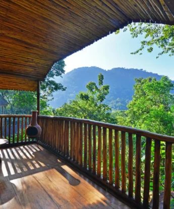 Guest view, Buhoma Lodge, Bwindi, Uganda