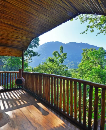 Guest view, Buhoma Lodge, Bwindi, Uganda