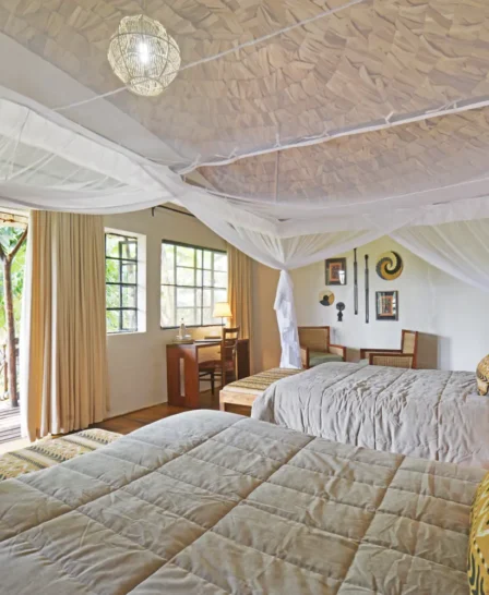 twin double room and view, mahogany springs, bwindi impenetrable forest, uganda