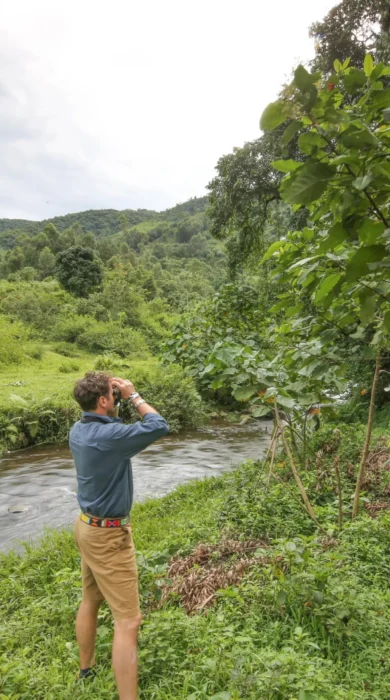 mahogany river client looking to forest 2
