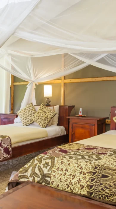 Ishasha Wilderness Camp (53)