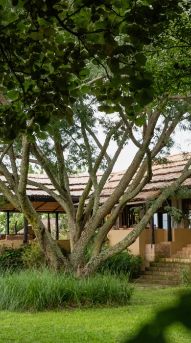 Gardens, Kyambura Gorge, Queen Elizabeth Np, Uganda