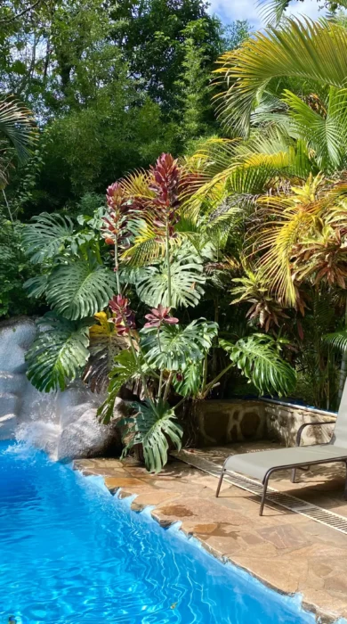 pool area, karibu guesthouse, entebbe, uganda