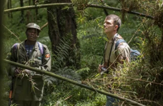 chimp trekking, mgahinga gorilla national park, uganda safaris