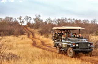 safari game drive, madikwe game reserve, south africa
