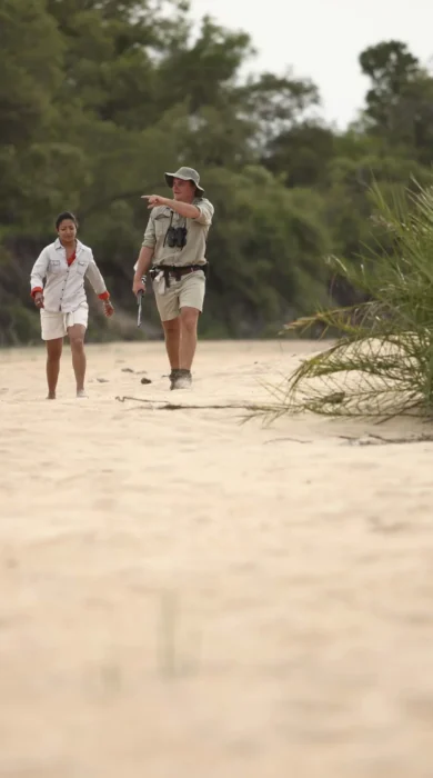 Walking andBeyond Ngala Tented Camp South African Safari1