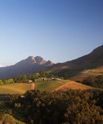 vineyard view, winelands, south africa safari holidays