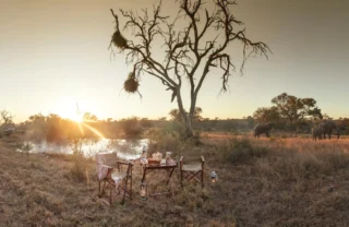 bush breakfast, timbavati private game reserve, south africa