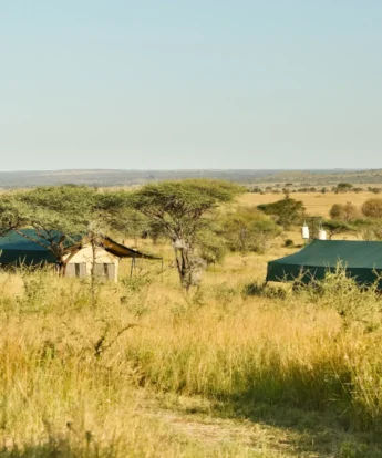 views over the serengeti, nyikani camp central serengeti, tanzania