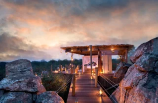 lion sands river lodge south africa sunset yellow zebra safaris