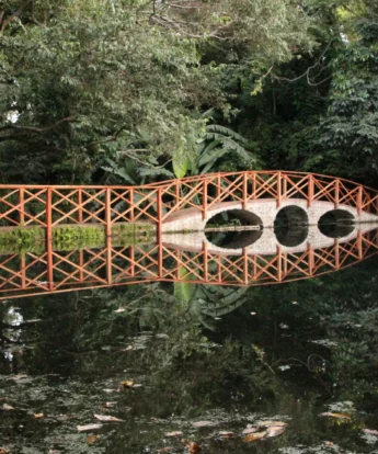 Footbridge