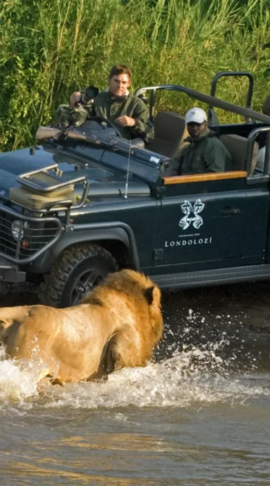 DD LandRover Lion