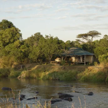 ngare serian tanzania camp view yellow zebra safaris
