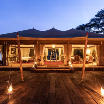 mara nyika kenya night view yellow zebra safaris