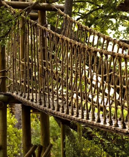 ulusaba safarilodge swing bridge hi