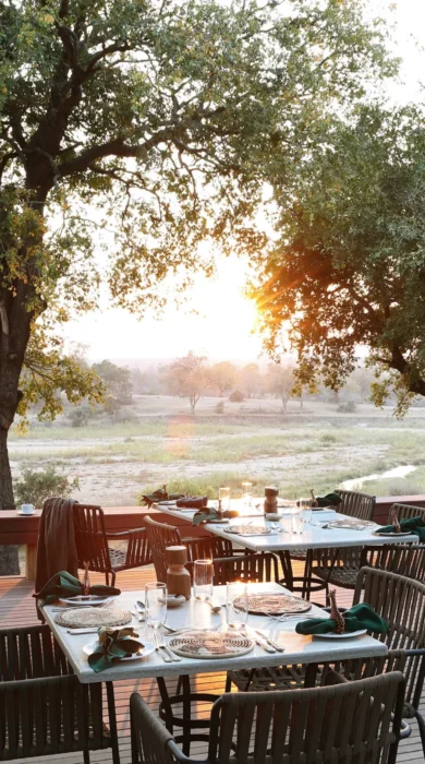 Breakfast, Mala Mala, Sabi Sands, South Africa
