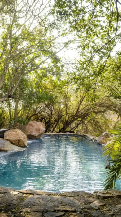Singita Ebony Lodge 8