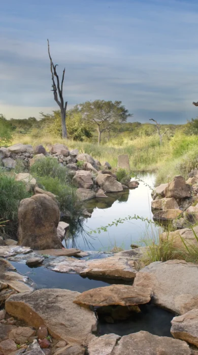 Water Feature View