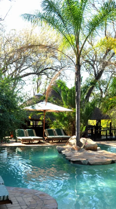 Swimming Pool 2 PKP