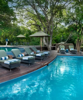 Pool, Phinda Forest, Phinda, South Africa