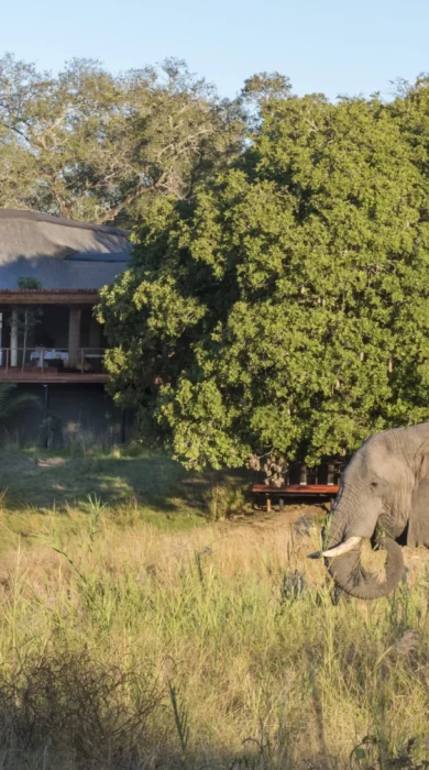 Dulini River Lodge