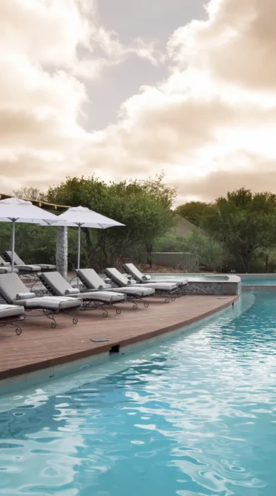 andBeyond Ngala Safari Lodge Swimming Pool view