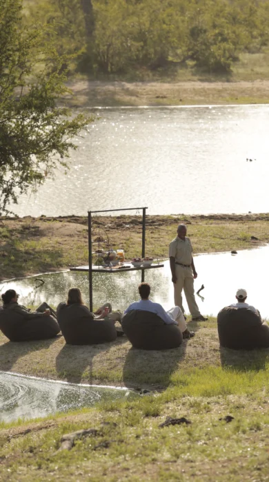 andBeyond Ngala Safari Lodge drinks yellow zebra