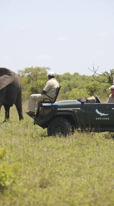 andBeyond Ngala Safari Lodge Game Drive