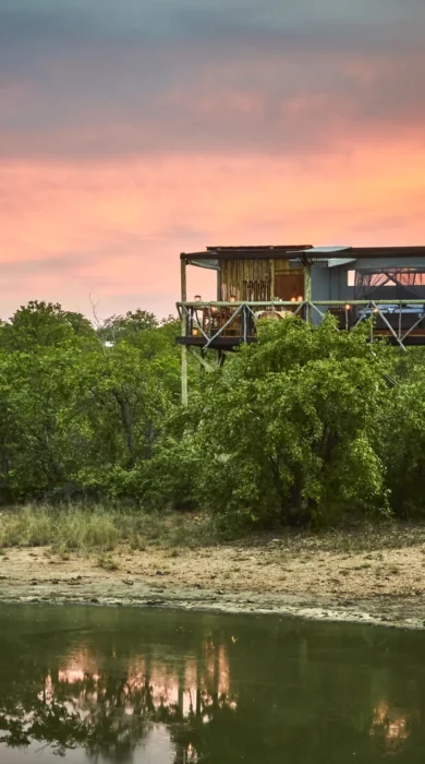 Motswari Private Game Reserve Giraffes Nest (3)