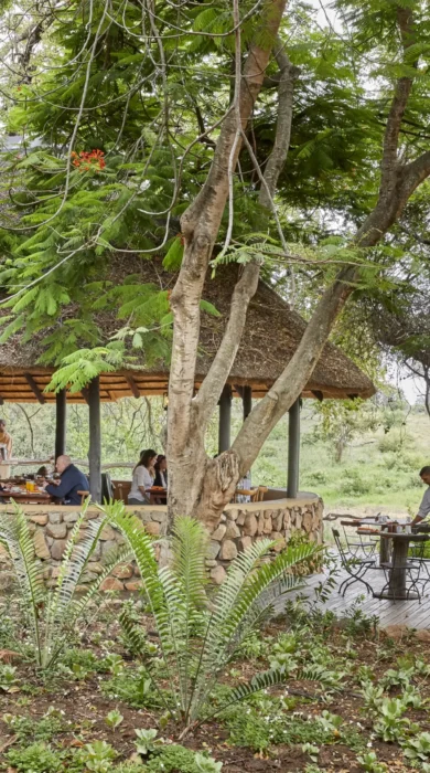 Motswari Private Game Reserve Breakfast