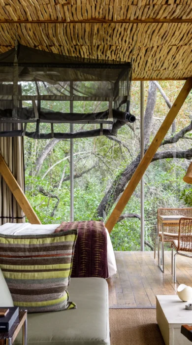 Singita Sweni Lodge 4