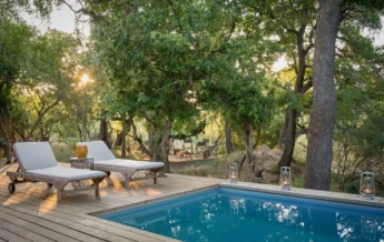 plunge pool, waterside at royal malewane, thornybush game reserve, south africa