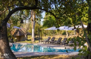 pool, inyati lodge, sabi sands reserves, south africa