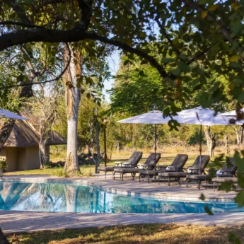 pool, inyati lodge, sabi sands reserves, south africa