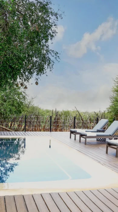 madikwe hills pool deck yellow zebra safaris