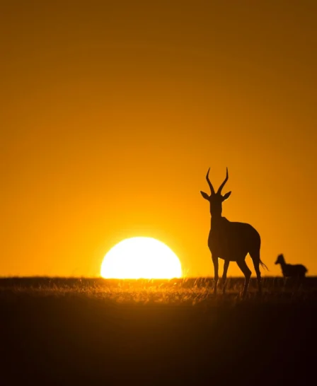 Sunset, Shamwari Eagles Crag, Shamwari, South Africa
