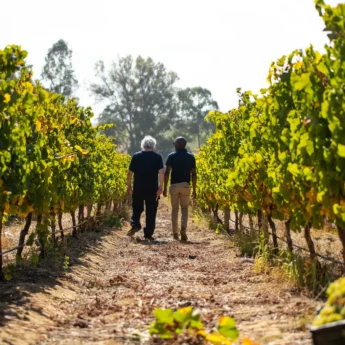 Winelands Experience, One&Only, Cape Town, South Africa