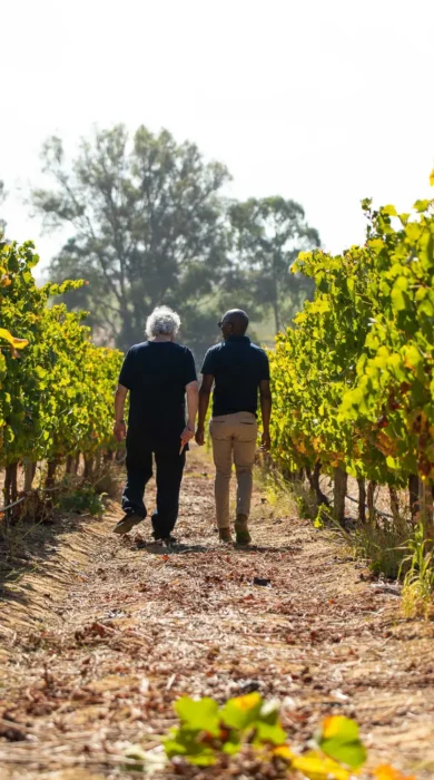 Winelands Experience, One&Only, Cape Town, South Africa