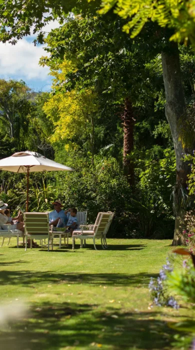 Garden, Last Word, Constantia, South Africa