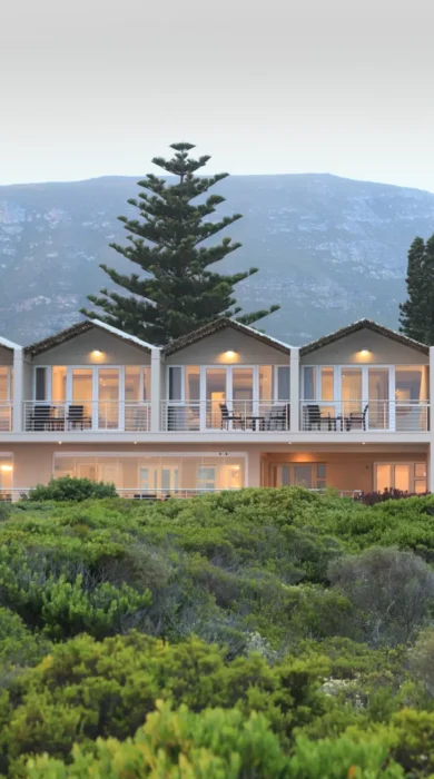 IMG 3203