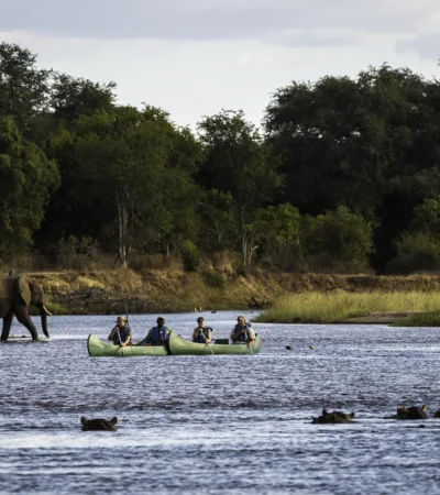 canoeing in mana pools, zimbabwe safari holidays
