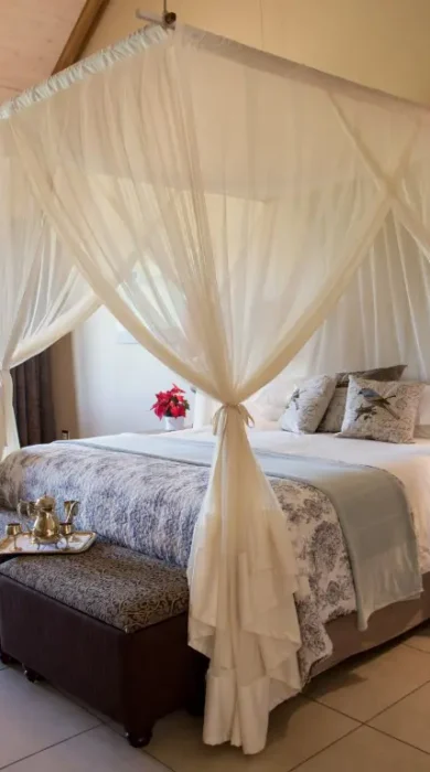 de zeekoe accommodation 6 20150115 1607070716